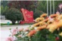 2025年菏澤市教育和體育局直屬學(xué)校引進(jìn)高層次急需緊缺人才公告